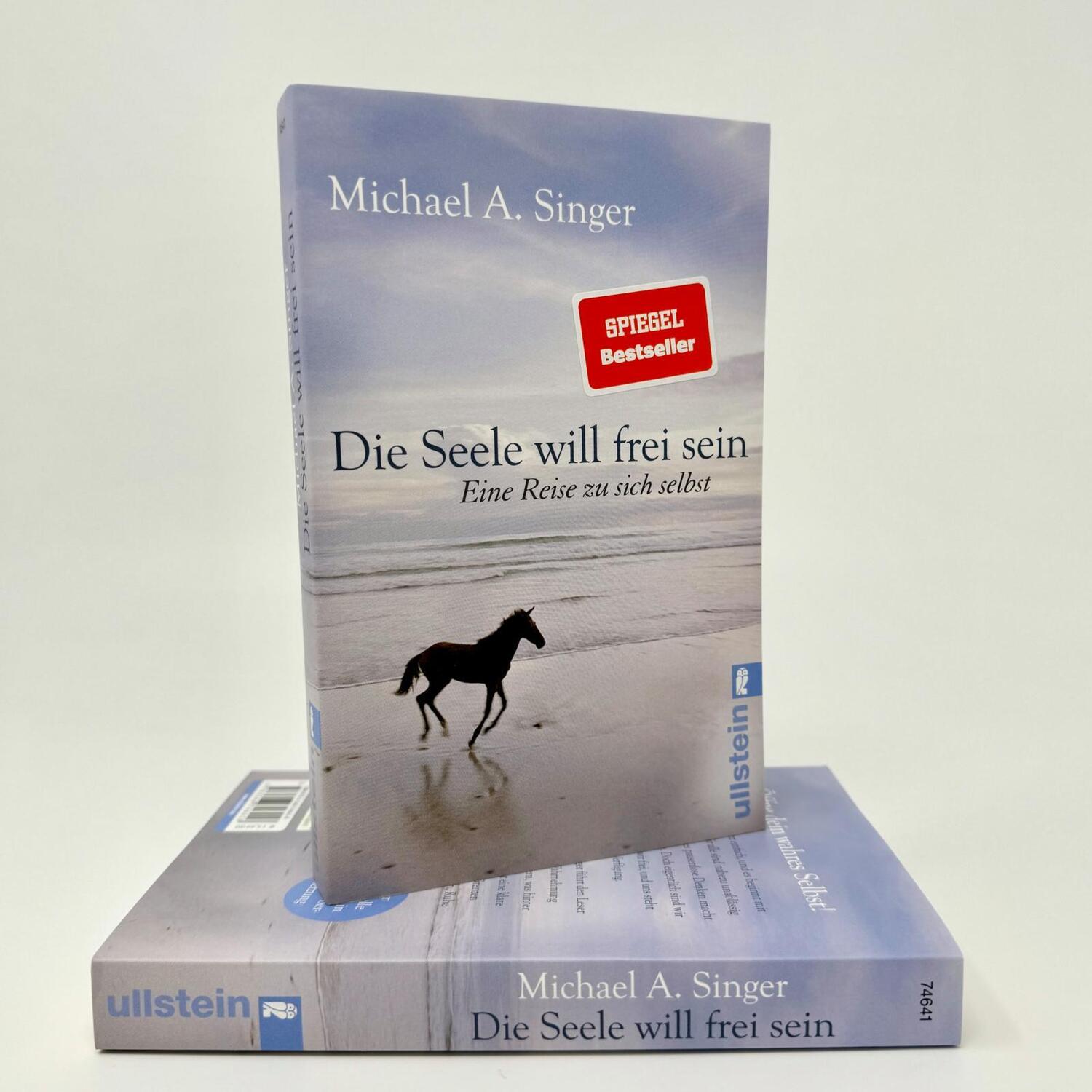 Bild: 9783548746418 | Die Seele will frei sein | Eine Reise zu sich selbst | Singer | Buch