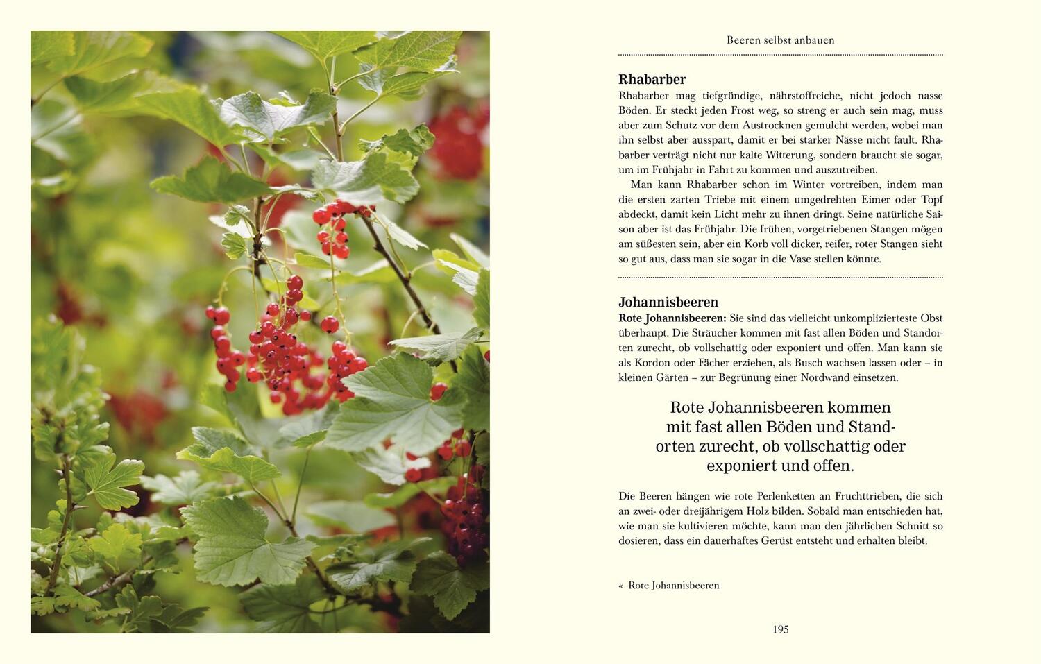 Bild: 9783831037247 | Über das Gärtnern | Monty Don | Buch | 272 S. | Deutsch | 2019