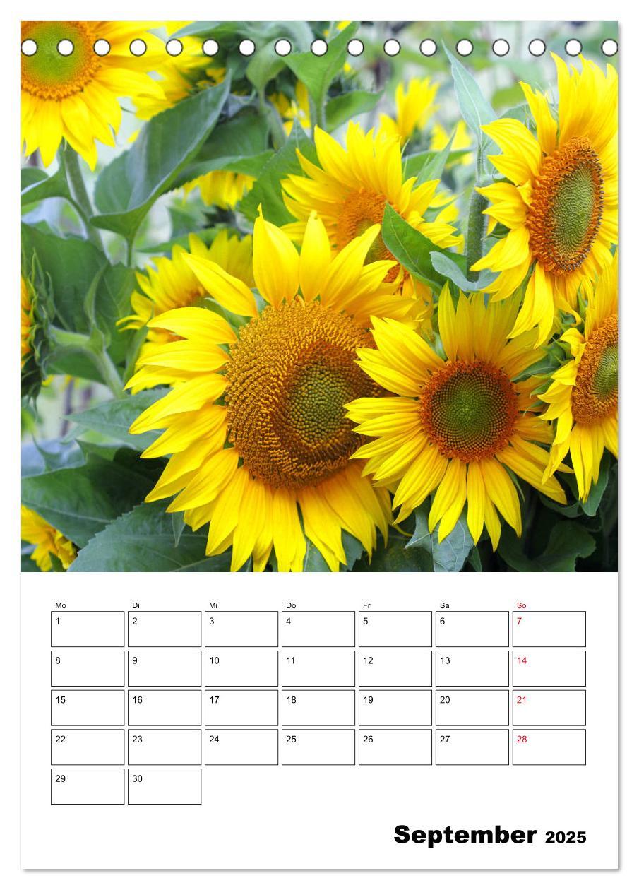 Bild: 9783435969807 | Leuchtende Sonnenblumen (Tischkalender 2025 DIN A5 hoch), CALVENDO...