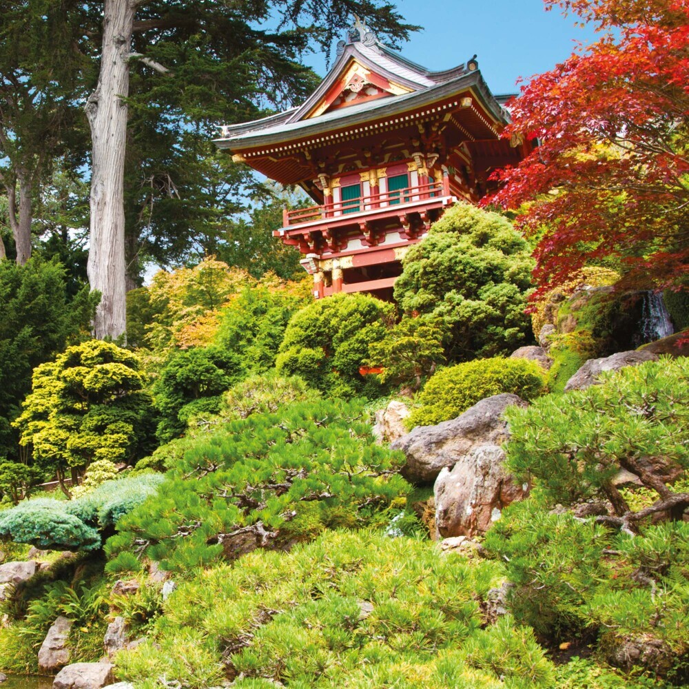 Bild: 9783959293853 | Japanese Garden 2025 | Kalender 2025 | Kalender | Drahtheftung | 28 S.