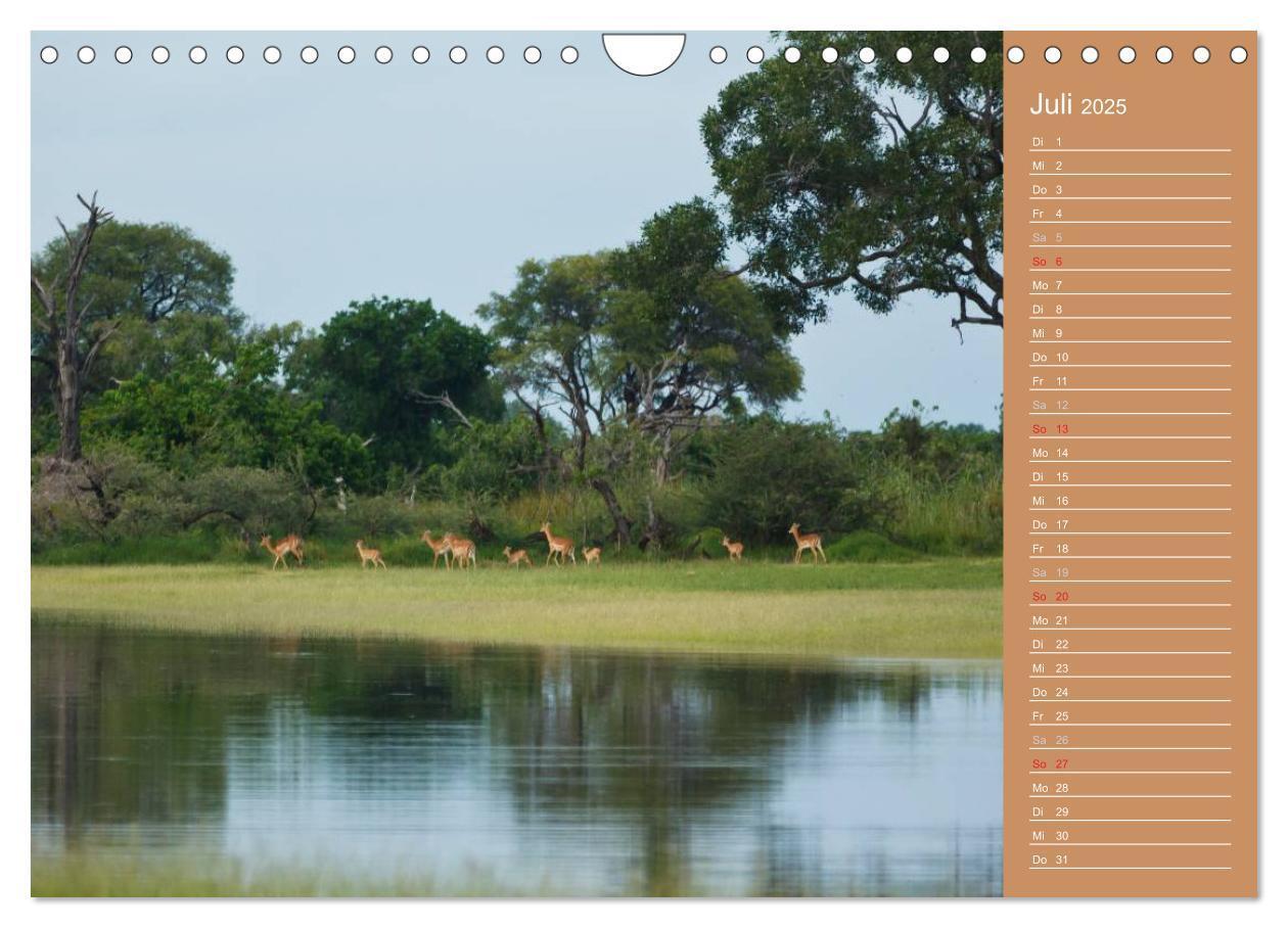 Bild: 9783435675487 | Afrika - Faszinierende Tierwelt (Wandkalender 2025 DIN A4 quer),...