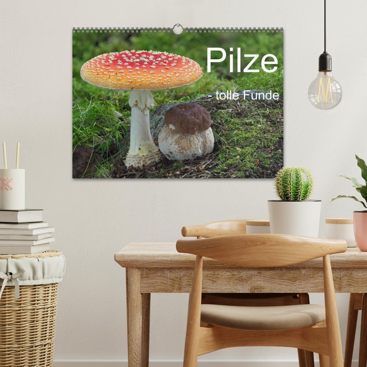 Bild: 9783383979965 | Pilze - tolle Funde (Wandkalender 2025 DIN A3 quer), CALVENDO...