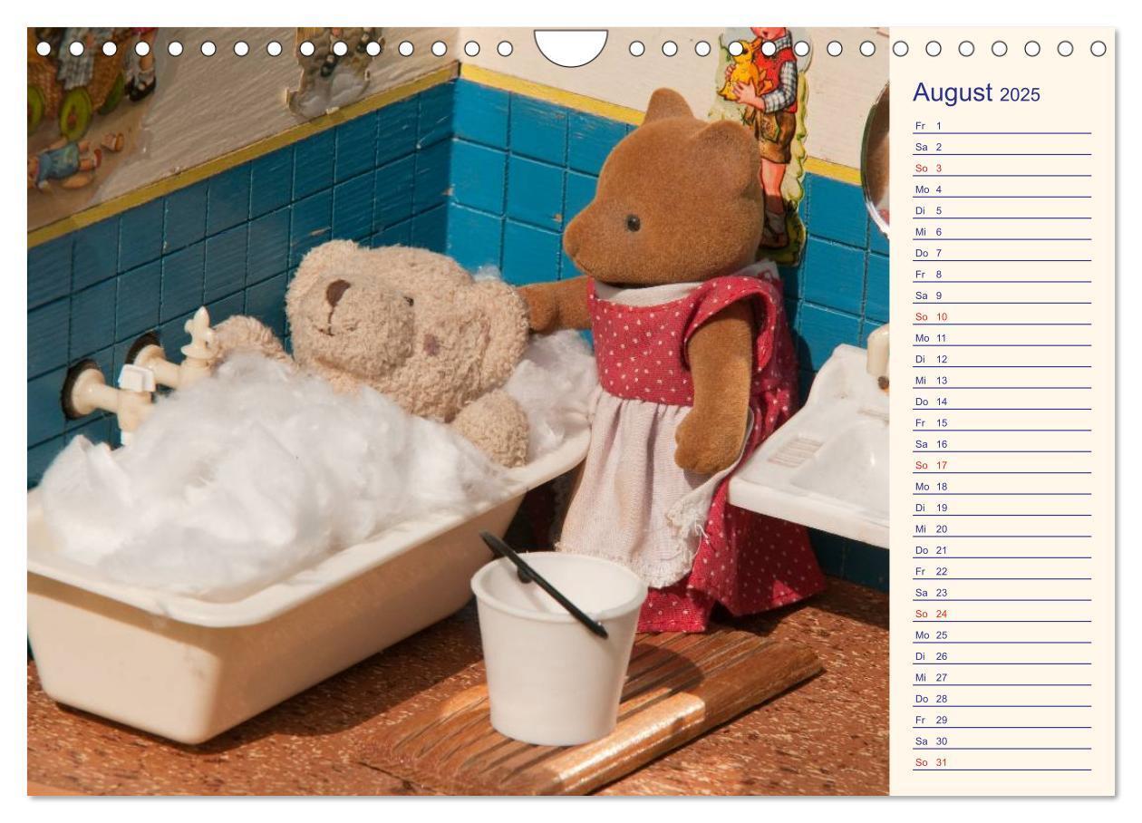 Bild: 9783435508235 | Geliebte Bären - Teddys (Wandkalender 2025 DIN A4 quer), CALVENDO...