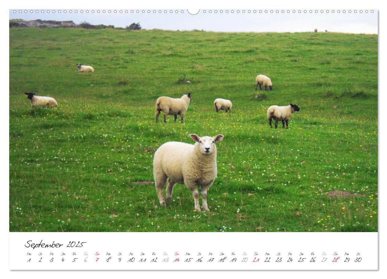 Bild: 9783435801381 | Märchenhaftes Irland (Wandkalender 2025 DIN A2 quer), CALVENDO...