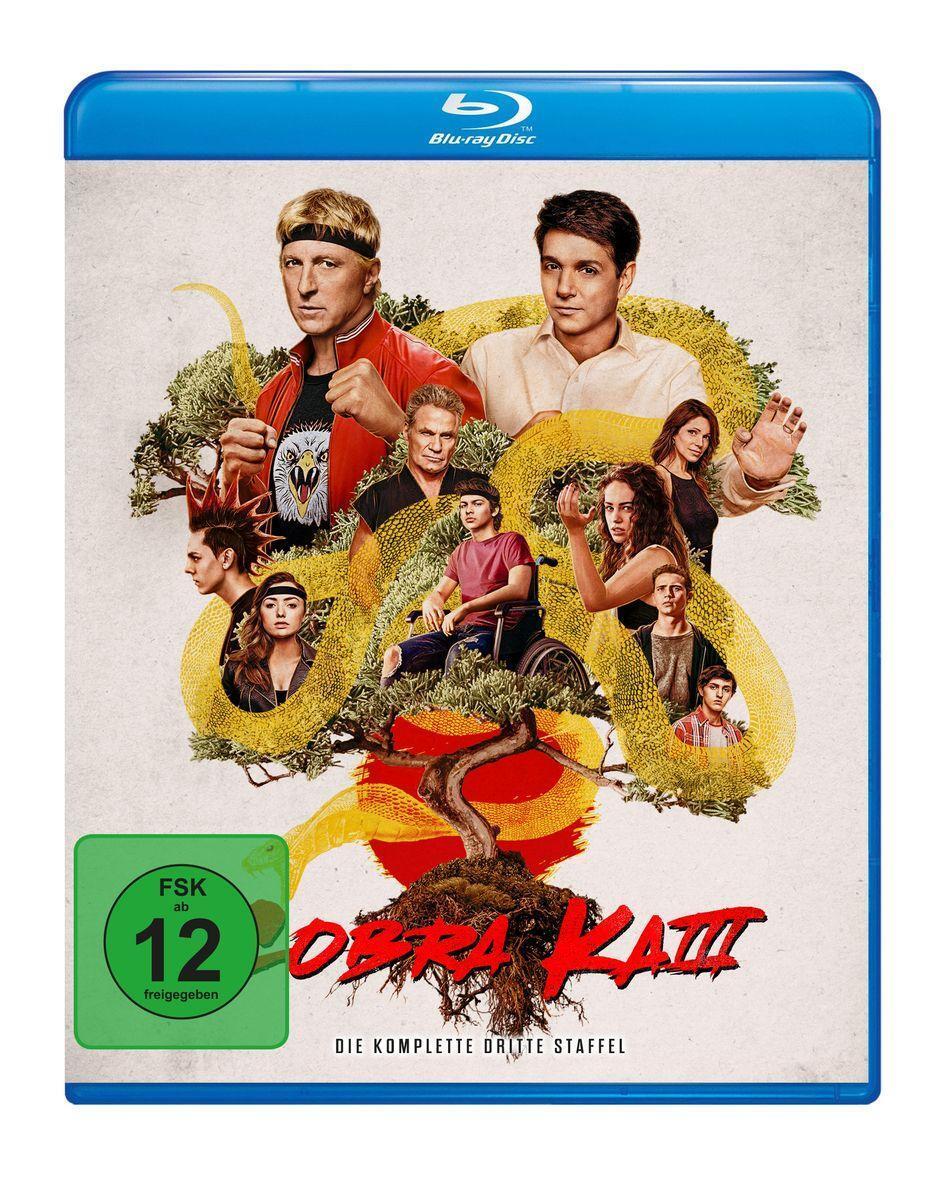 Cover: 4009750305690 | Cobra Kai | Staffel 03 | Jason Belleville (u. a.) | Blu-ray Disc