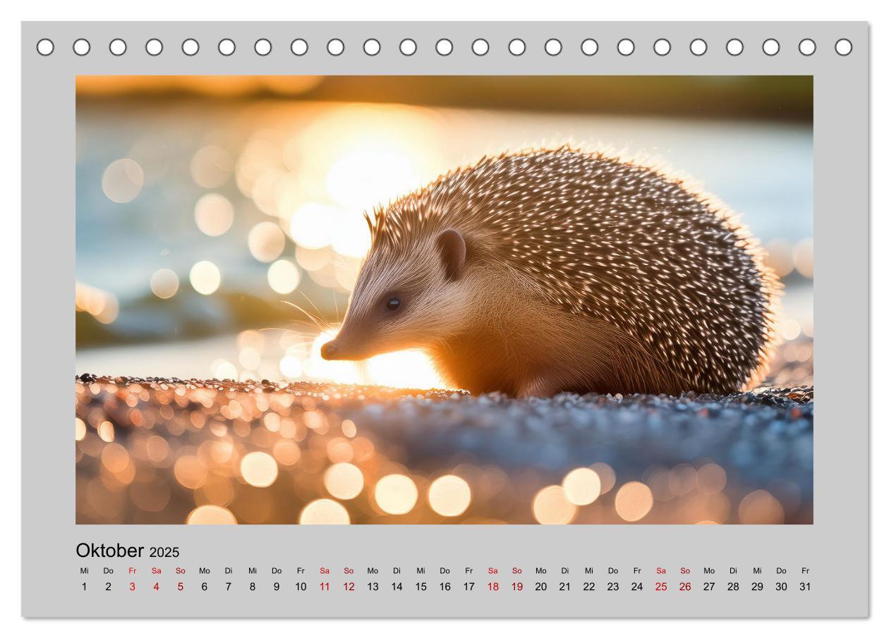 Bild: 9783435516230 | Mein Igel-Kalender (Tischkalender 2025 DIN A5 quer), CALVENDO...