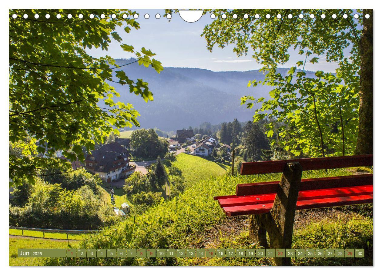 Bild: 9783435377213 | Die Jahreszeiten im Nordschwarzwald (Wandkalender 2025 DIN A4...