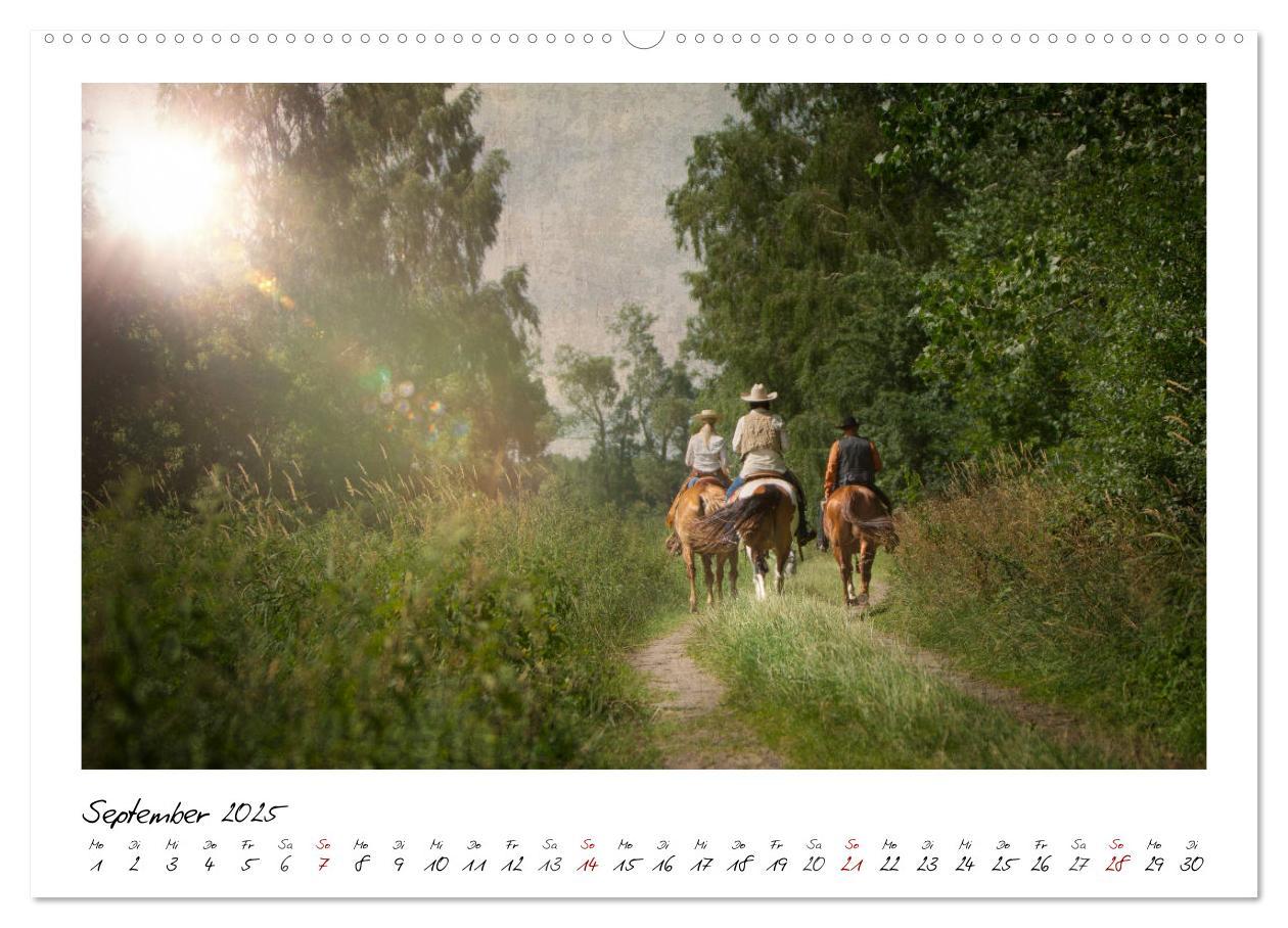 Bild: 9783435442676 | Mecklenburgs Wilder Westen (hochwertiger Premium Wandkalender 2025...