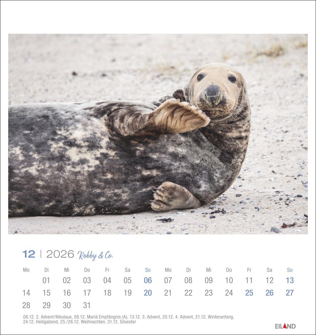 Bild: 9783964024107 | Robby &amp; Co. Postkartenkalender 2026 | Kalender | Spiralbindung | 13 S.