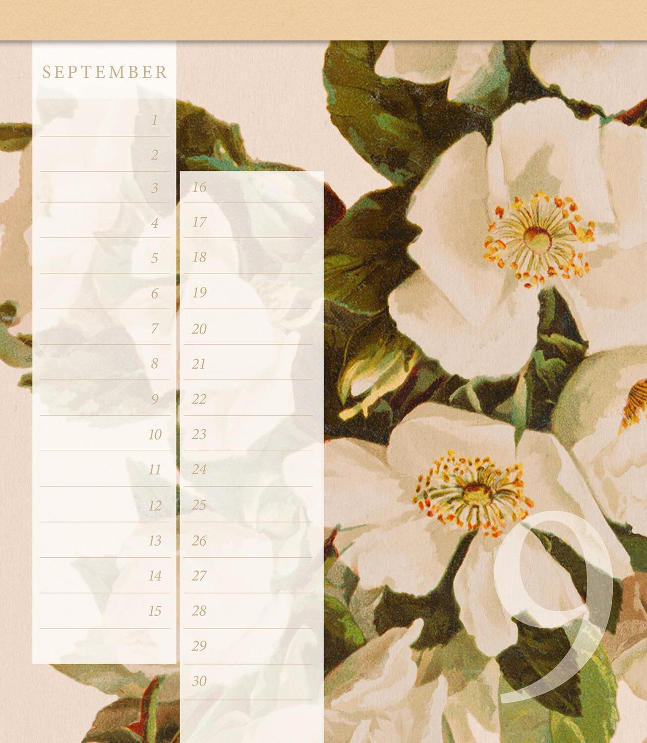 Bild: 4250915935348 | Geschichte der Rose Geburtstagskalender | Kalender | 16 S. | Deutsch