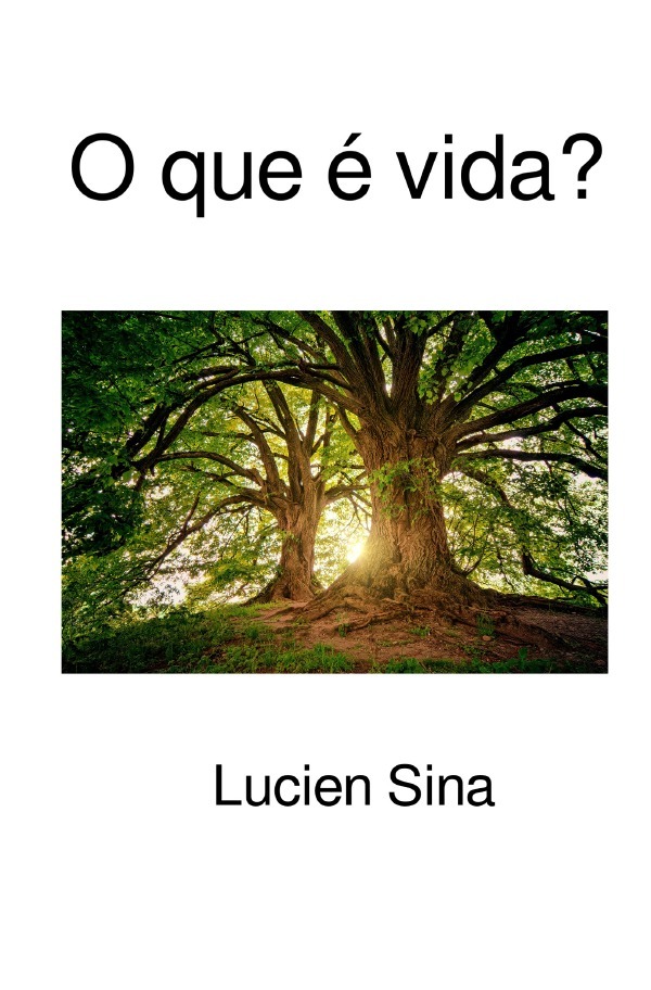 Cover: 9783759885036 | O que é vida? | DE | Lucien Sina | Taschenbuch | Portugiesisch