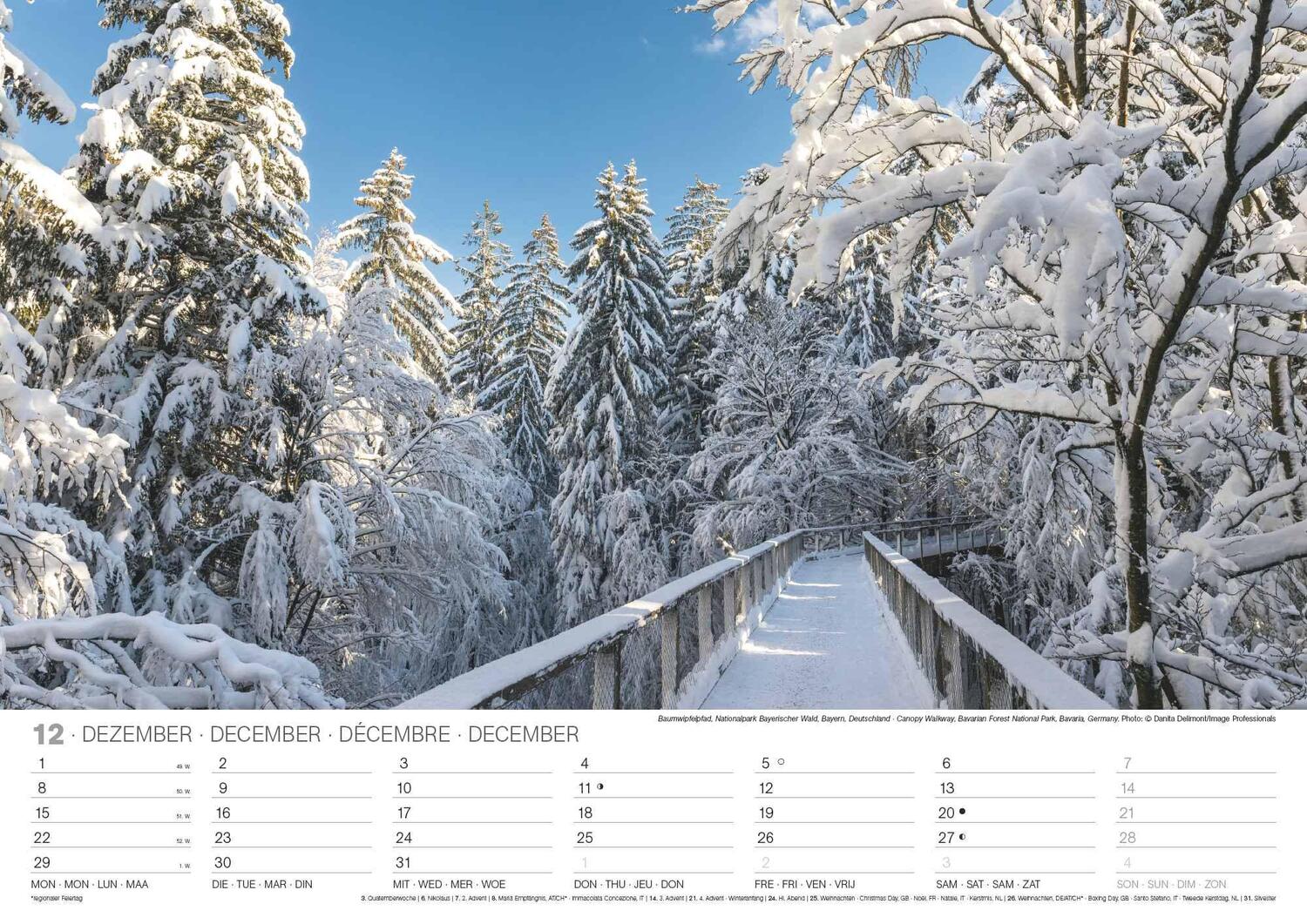 Bild: 4002725994288 | Malerische Wege 2025 - Wand-Kalender - 42x29,7 - Natur | Neumann