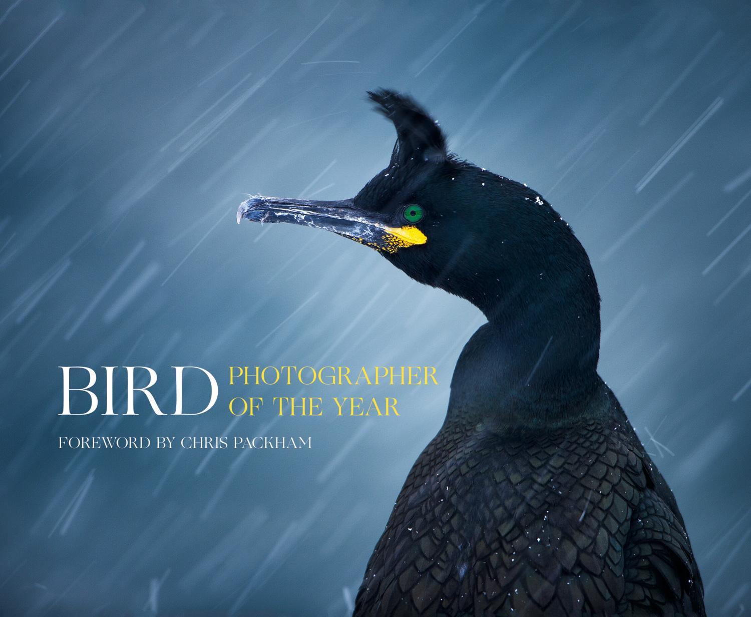 Cover: 9780008175238 | Bird Photographer of the Year | Bird Photographer Of The Year | Buch