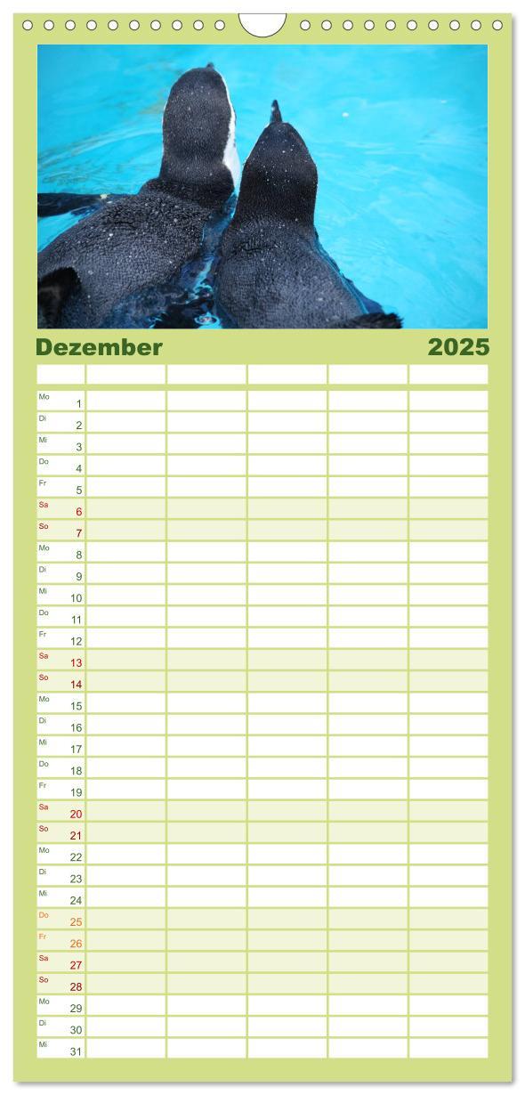 Bild: 9783457120293 | Familienplaner 2025 - Pinguine 2025 mit 5 Spalten (Wandkalender, 21...