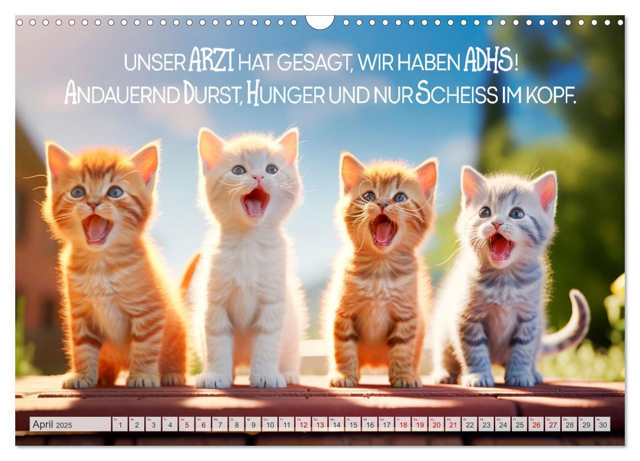 Bild: 9783383773457 | Süße Katzen und coole Sprüche (Wandkalender 2025 DIN A3 quer),...