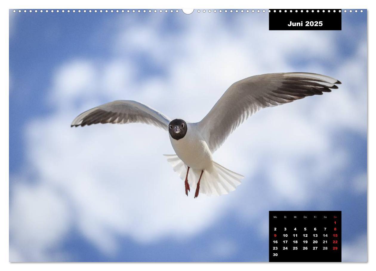 Bild: 9783435590421 | Maritime Seebilder - Von der Ostsee zur Nordsee (Wandkalender 2025...