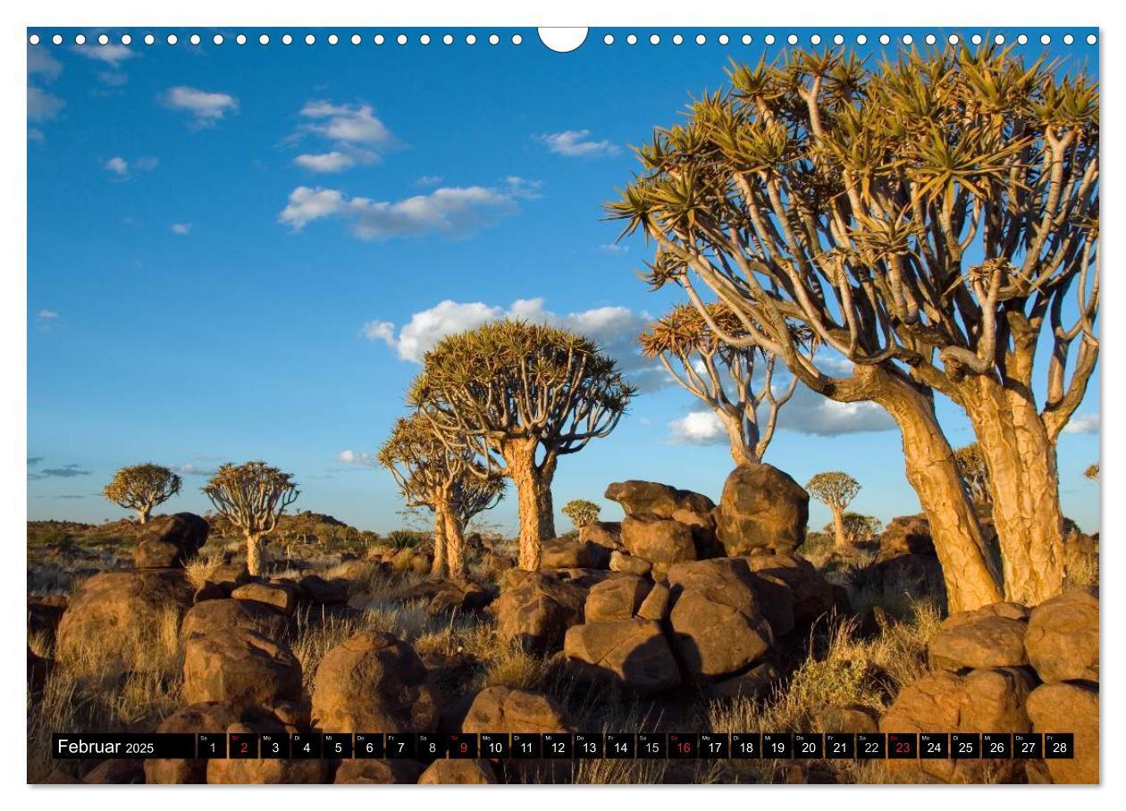 Bild: 9783435817245 | Faszination Namibia (Wandkalender 2025 DIN A3 quer), CALVENDO...