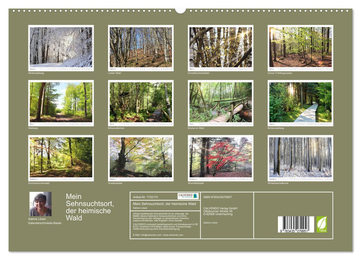 Bild: 9783435079957 | Mein Sehnsuchtsort, der heimische Wald (Wandkalender 2025 DIN A2...