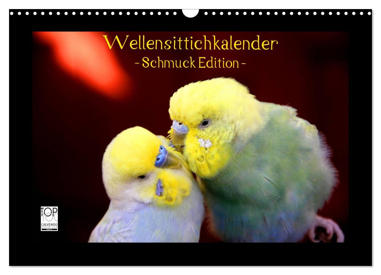 Cover: 9783435714681 | Wellensittichkalender - Schmuck Edition (Wandkalender 2025 DIN A3...