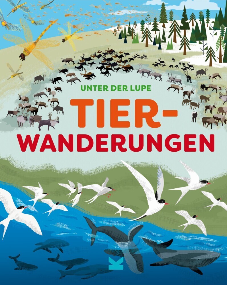 Cover: 9783962443030 | Unter der Lupe: Tierwanderungen | Jon Richards (u. a.) | Buch | 32 S.