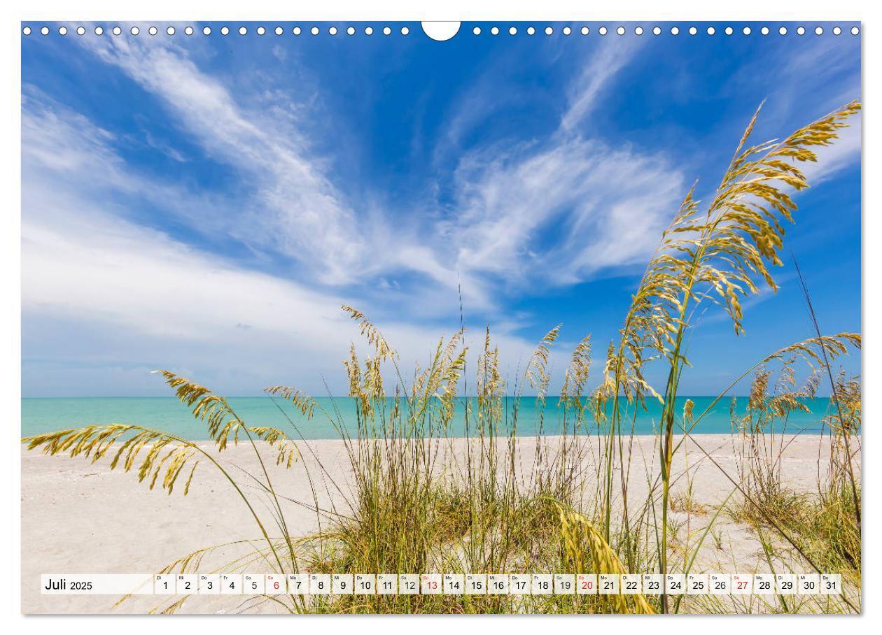 Bild: 9783435805419 | FLORIDA Paradiesischer Sonnenscheinstaat (Wandkalender 2025 DIN A3...