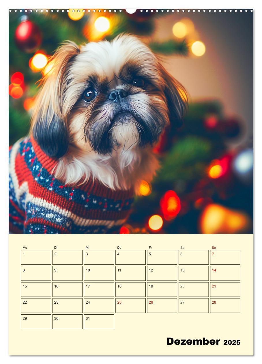 Bild: 9783435874101 | Shih Tzu Alarm. Glückliche Wuschelköpfe (Wandkalender 2025 DIN A2...