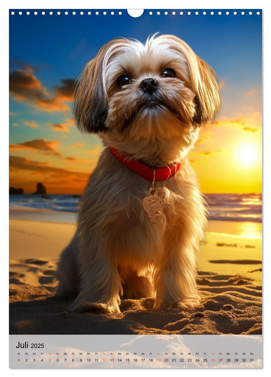 Bild: 9783383765384 | Shih Tzu - immer im Mittelpunkt (Wandkalender 2025 DIN A3 hoch),...