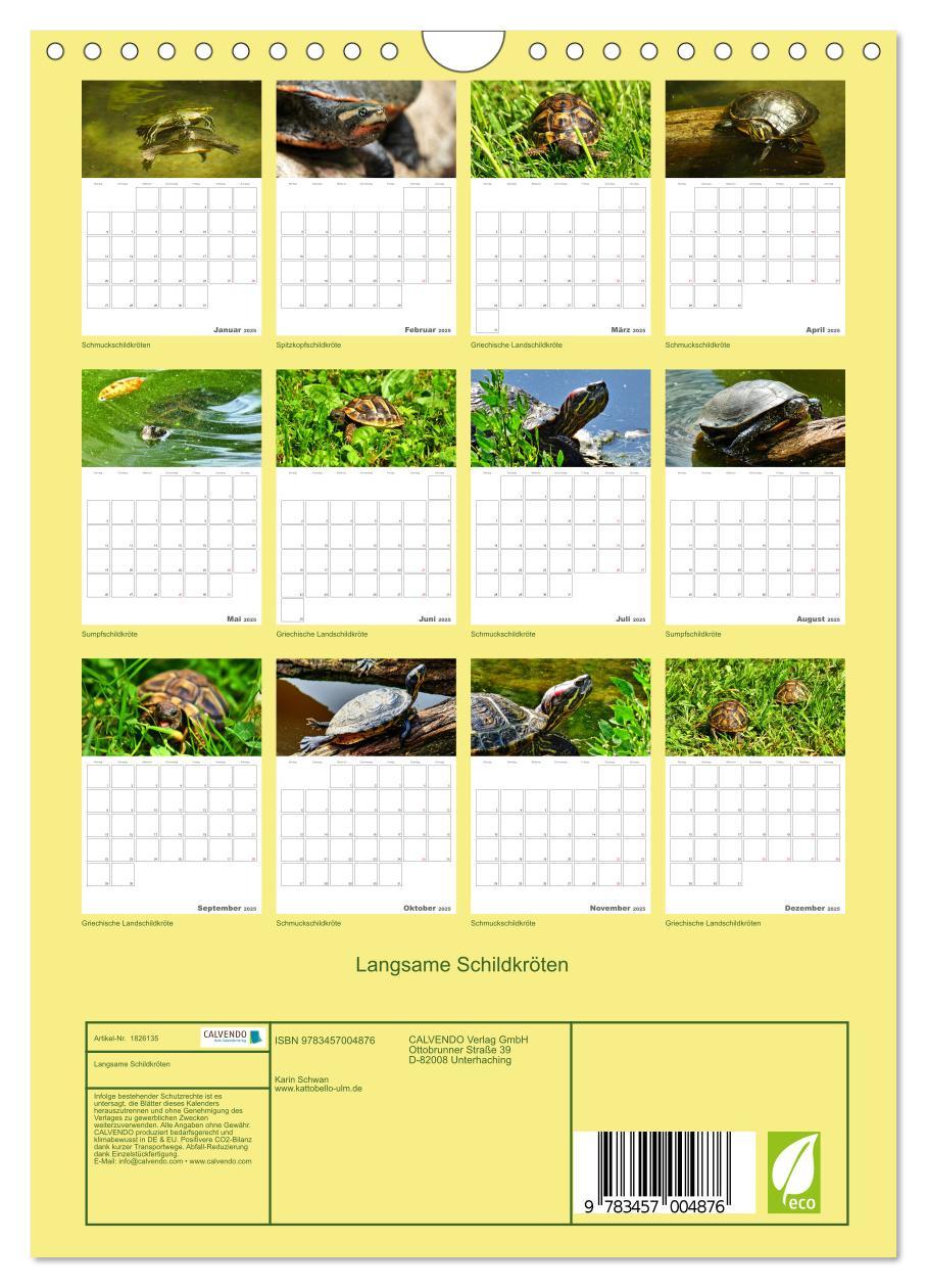 Bild: 9783457004876 | Langsame Schildkröten (Wandkalender 2025 DIN A4 hoch), CALVENDO...