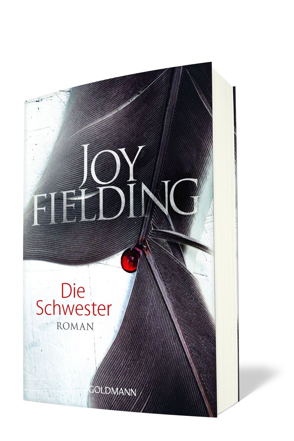 Bild: 9783442477272 | Die Schwester | Joy Fielding | Taschenbuch | 444 S. | Deutsch | 2017