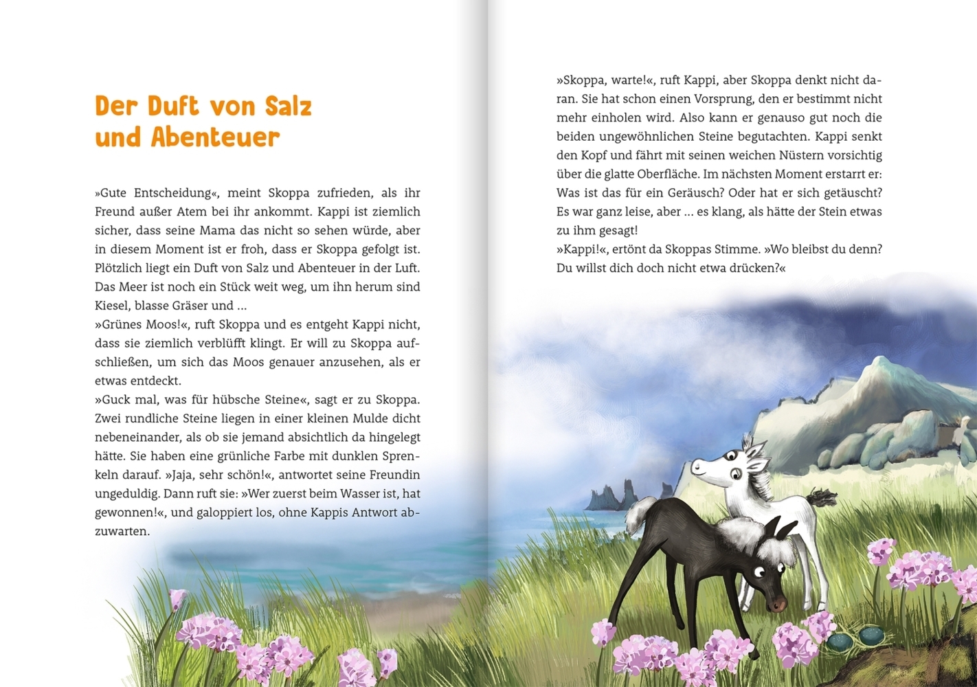 Bild: 9783751400329 | Doppel-Galoppel 1. Zwei wie Sonne und Wind | Chantal Schreiber | Buch