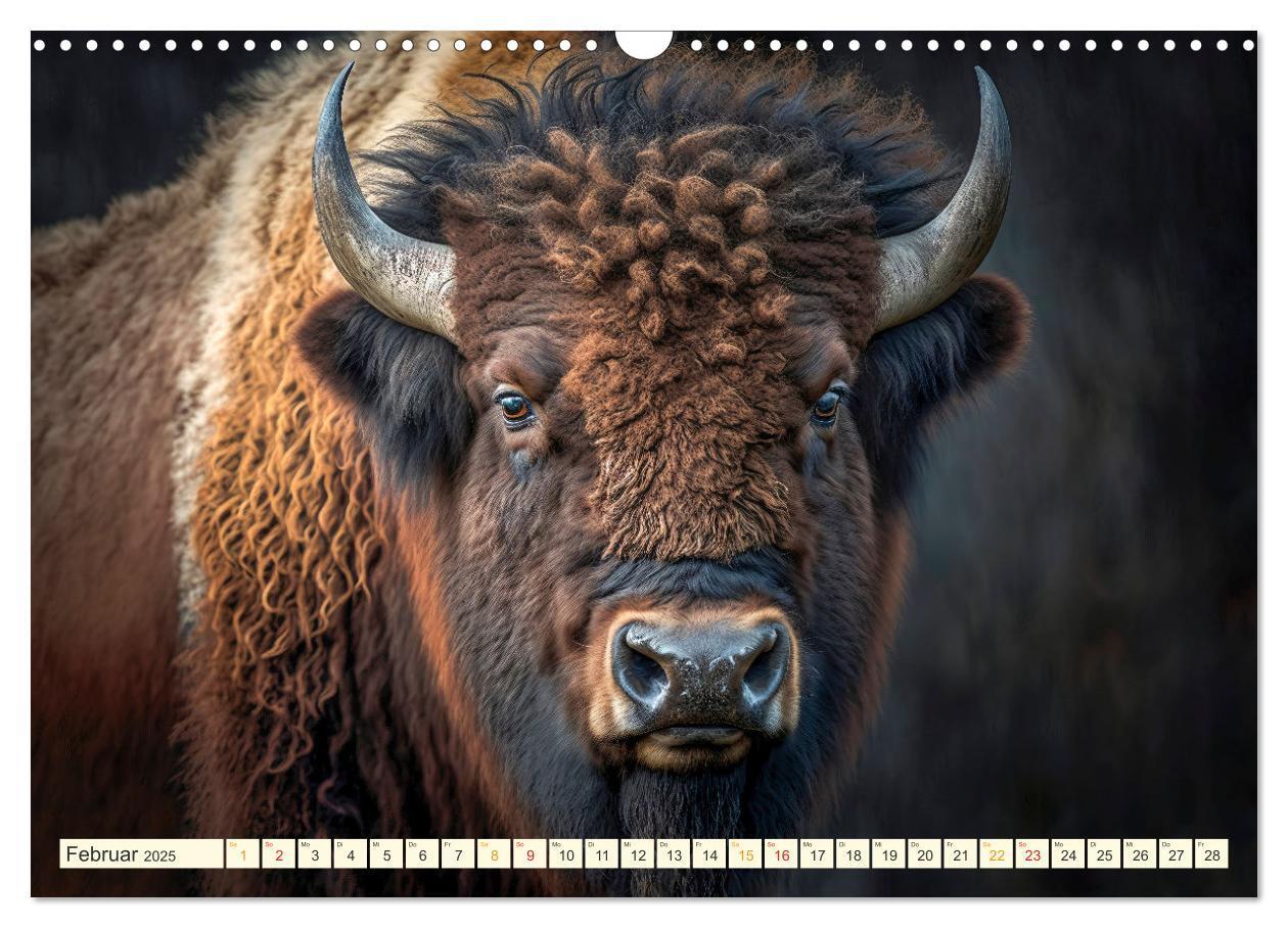 Bild: 9783383911859 | Amerikanischer Bison (Wandkalender 2025 DIN A3 quer), CALVENDO...