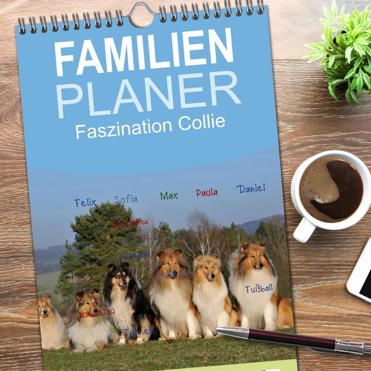 Bild: 9783457120231 | Familienplaner 2025 - Faszination Collie 2025 mit 5 Spalten...