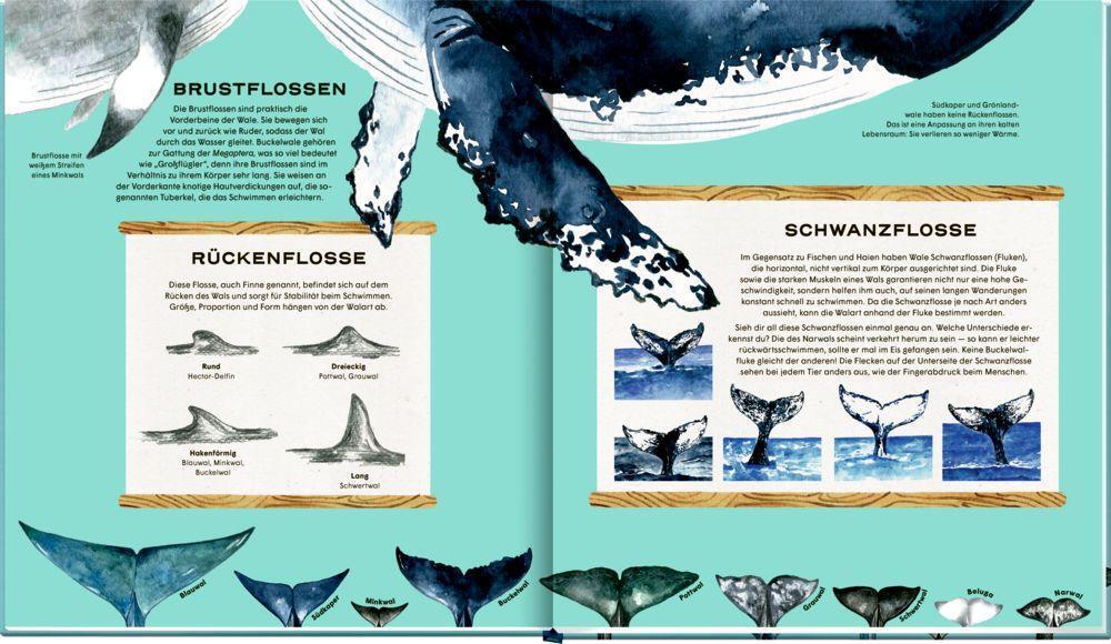 Bild: 9783649644255 | Die geheime Welt der Wale | Ein Sachbilderbuch | Rena Ortega | Buch