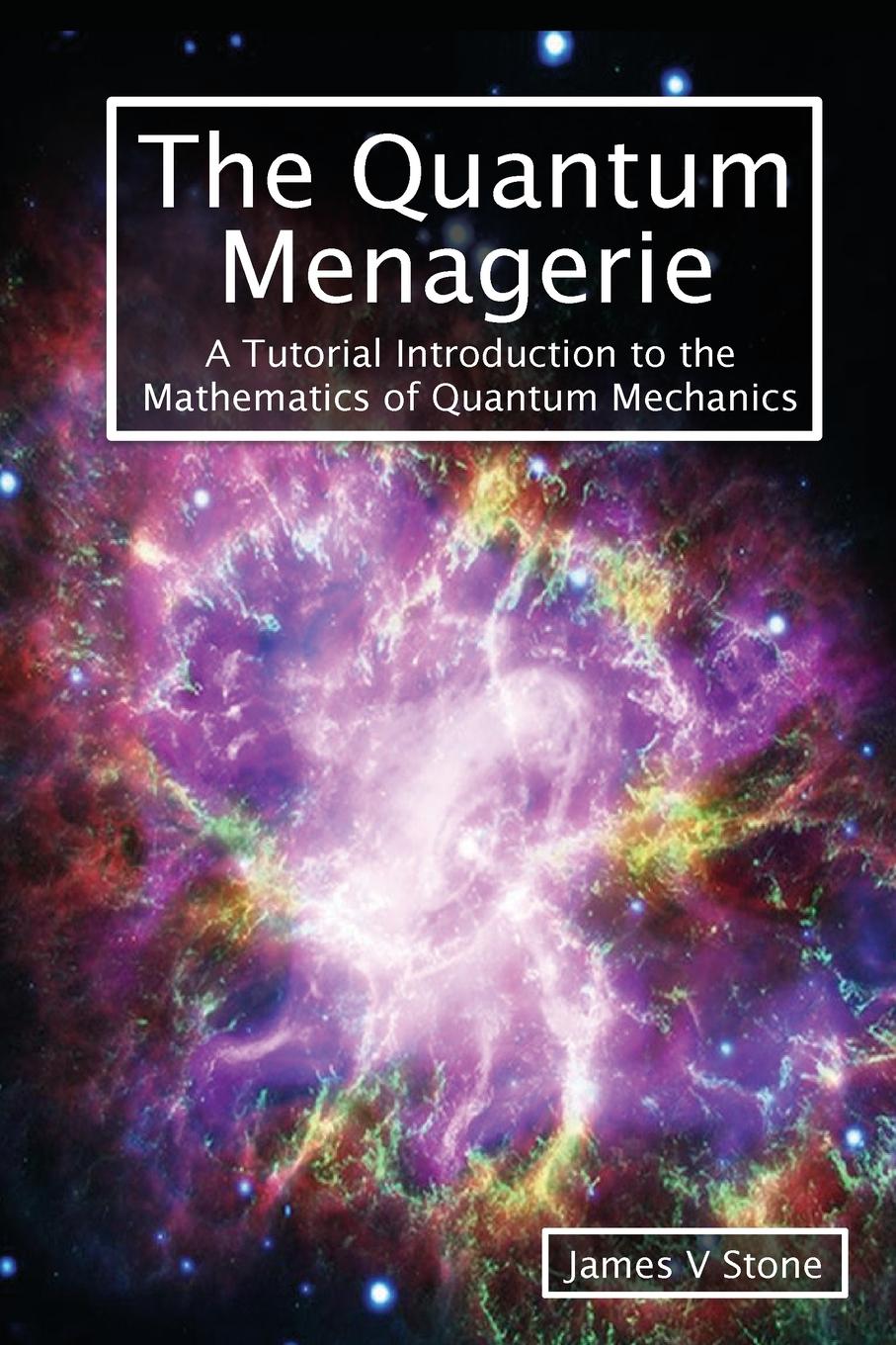 Cover: 9781916279100 | The Quantum Menagerie | James V Stone | Taschenbuch | Englisch | 2020