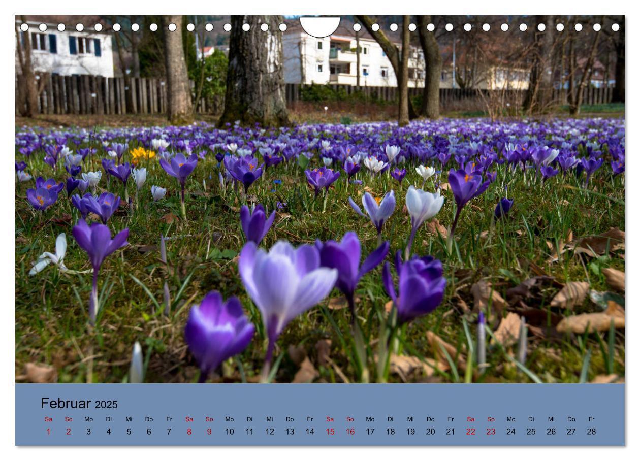 Bild: 9783435361205 | Wundervolles Freiburg (Wandkalender 2025 DIN A4 quer), CALVENDO...