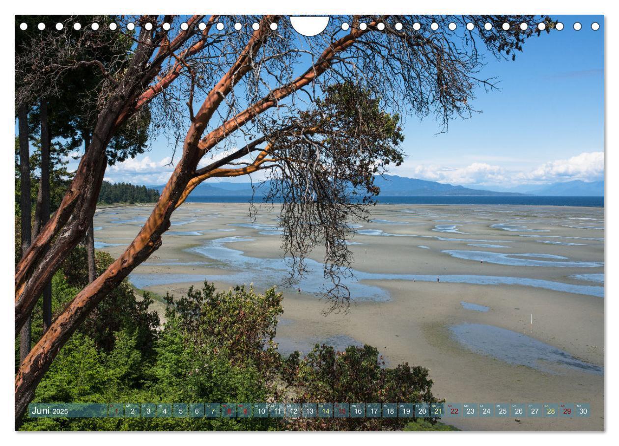 Bild: 9783435033263 | Vancouver Island - Insel zum Träumen (Wandkalender 2025 DIN A4...