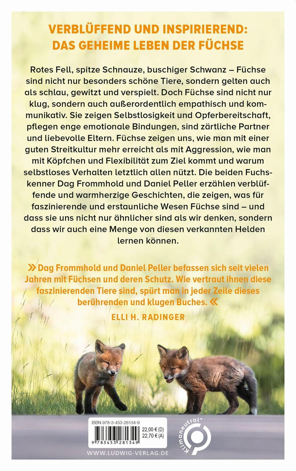 Bild: 9783453281349 | Die Weisheit der Füchse | Dag Frommhold (u. a.) | Buch | Deutsch