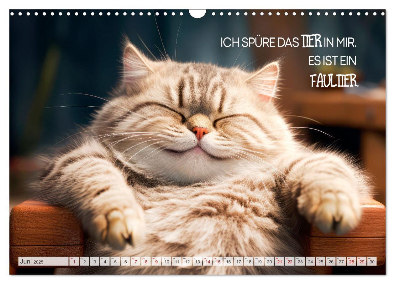 Bild: 9783383773457 | Süße Katzen und coole Sprüche (Wandkalender 2025 DIN A3 quer),...