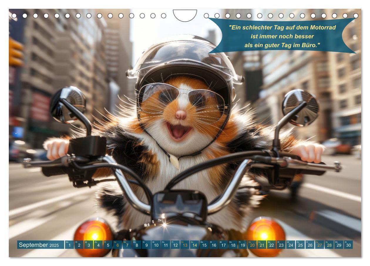 Bild: 9783457166048 | Tierisch lustige Motorradfahrer (Wandkalender 2025 DIN A4 quer),...