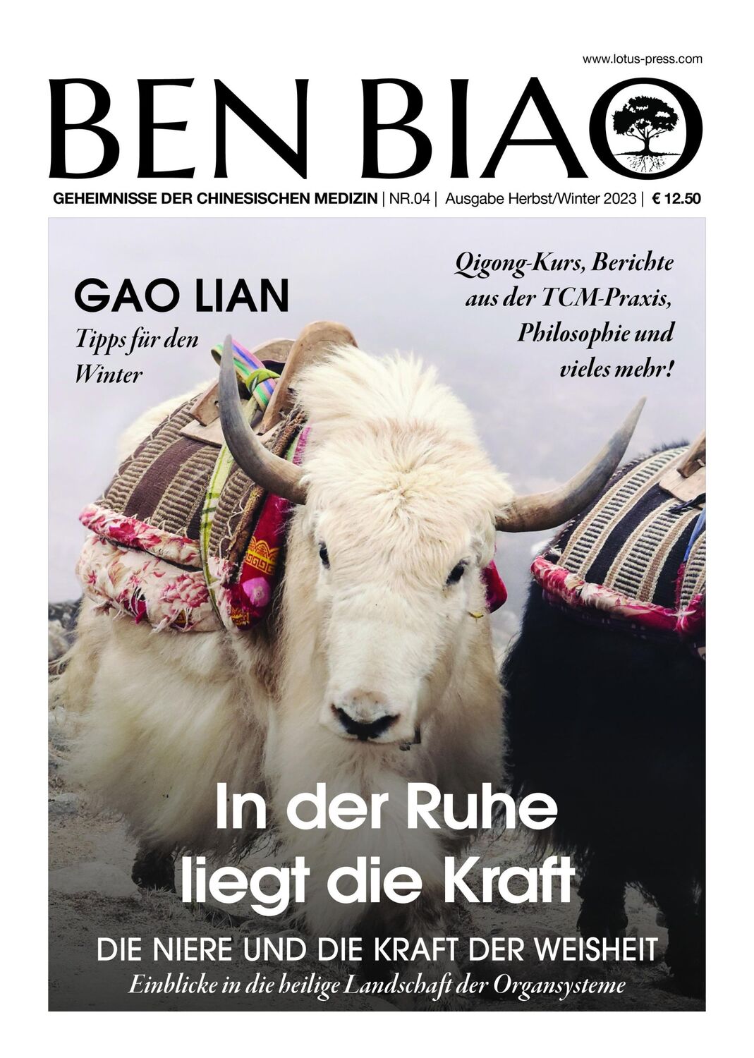 Cover: 9783910660045 | In der Ruhe liegt die Kraft | Die Niere und die Kraft der Weisheit