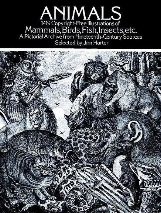 Cover: 9780486237664 | Animals | Jim Harter | Taschenbuch | Kartoniert / Broschiert | 2000