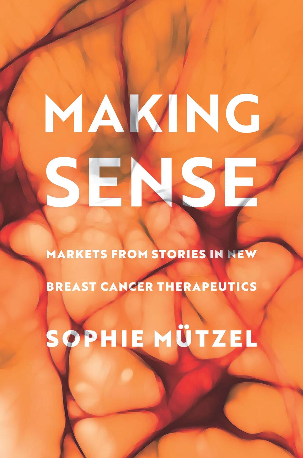 Cover: 9781503634060 | Making Sense | Markets from Stories in New Breast Cancer Therapeutics