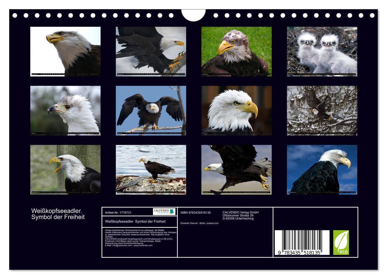 Bild: 9783435518135 | Weißkopfseeadler. Symbol der Freiheit (Wandkalender 2025 DIN A4...