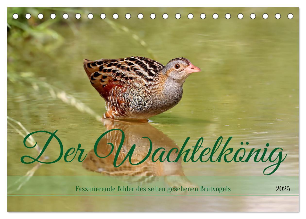 Cover: 9783383860577 | Der Wachtelkönig (Tischkalender 2025 DIN A5 quer), CALVENDO...