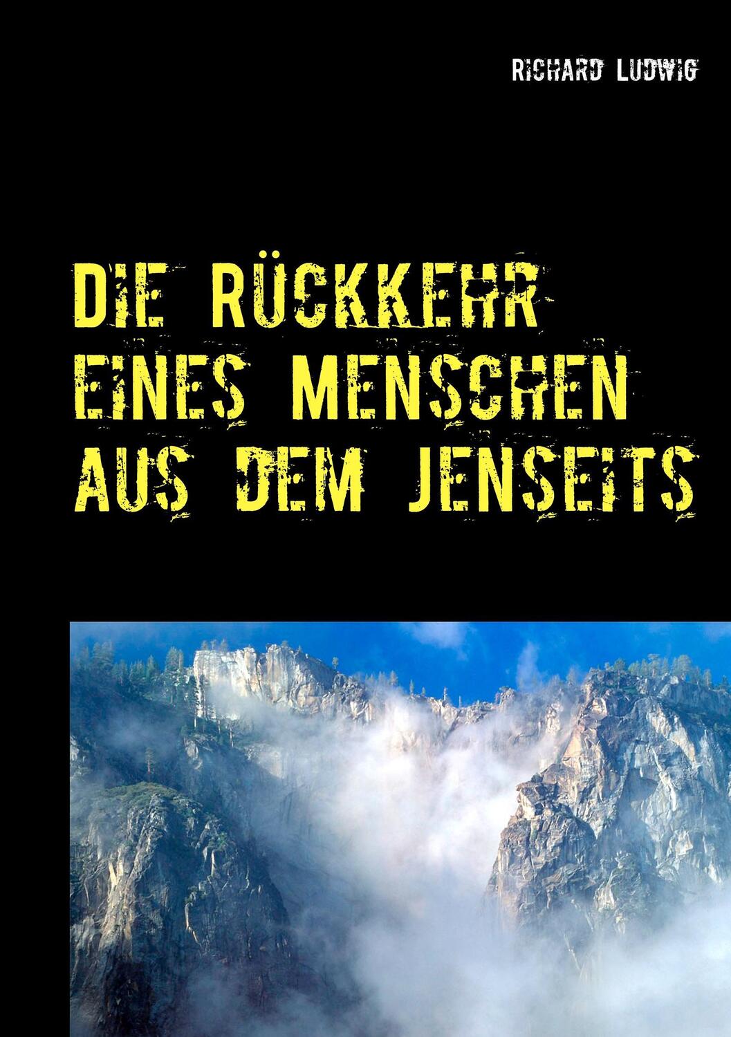 Cover: 9783746065298 | Die Rückkehr eines Menschen aus dem Jenseits | Richard Ludwig | Buch