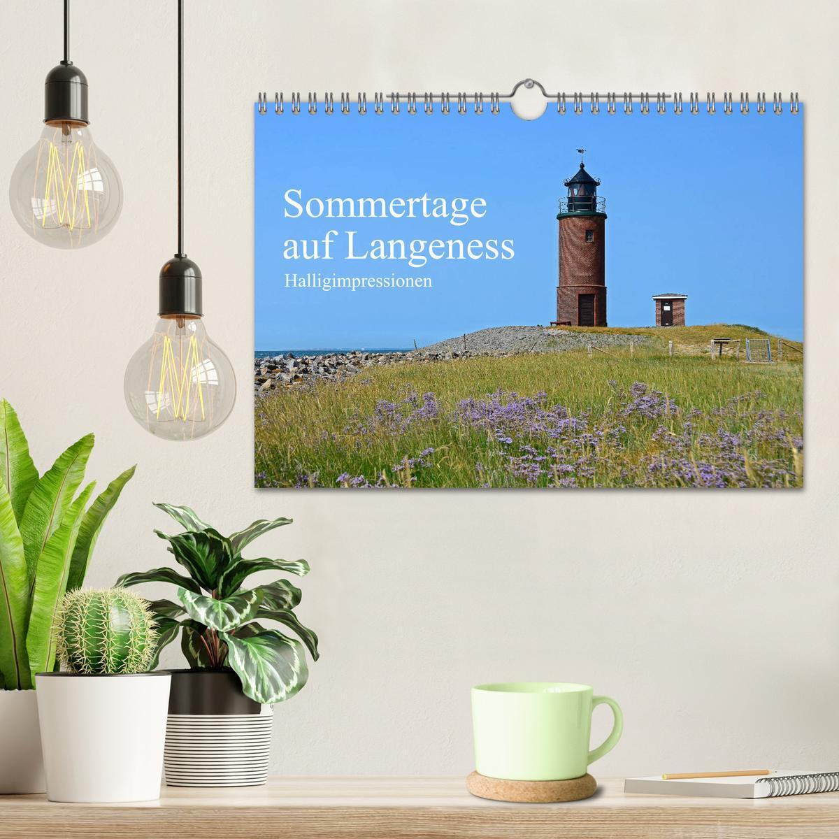 Bild: 9783435256723 | Sommertage auf Langeness (Wandkalender 2025 DIN A4 quer), CALVENDO...