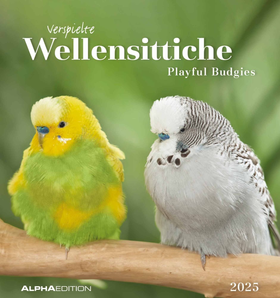 Cover: 4251732342319 | Alpha Edition - Wellensittiche 2025 Postkartenkalender, 16x17cm,...