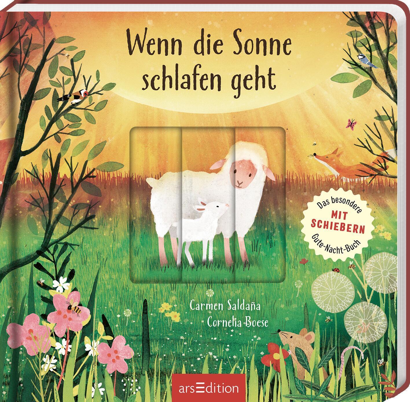 Cover: 9783845855547 | Wenn die Sonne schlafen geht | Cornelia Boese | Buch | 14 S. | Deutsch