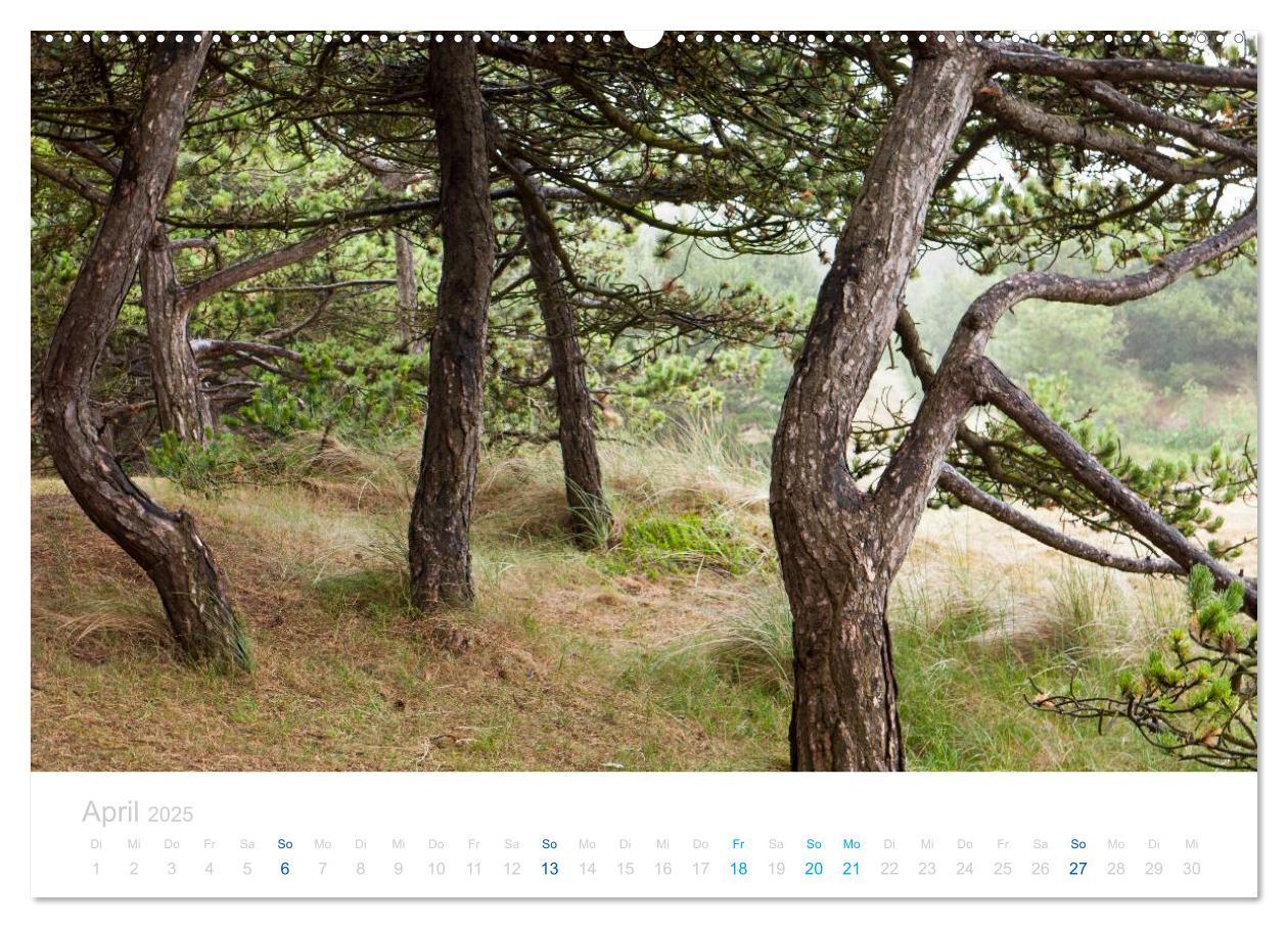 Bild: 9783435808304 | Ameland (hochwertiger Premium Wandkalender 2025 DIN A2 quer),...