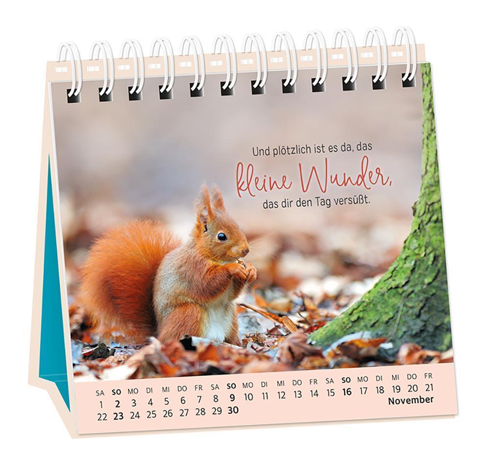 Bild: 9783986360962 | Tischkalender 2025 Extraportion Glück | Tischkalender | Original